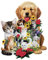 Bits and Pieces - 750 Piece Shaped Jigsaw Puzzle for Adults - Best Friends - 750 pc Dogs and Cats Jigsaw by Artist Jack Williams