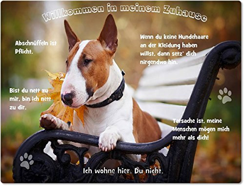 Merchandise for Fans Blechschild/Warnschild/Türschild - Aluminium - 30x20cm - - Willkommen in Meinem Zuhause - Motiv: Bullterrier liegend auf Einer Parkbank - 01