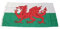 Fahne/Flagge Wales NEU 90 x 150 cm Flaggen