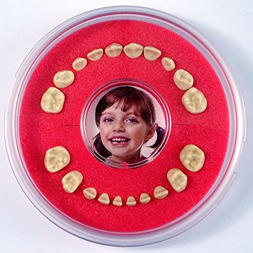 Firsty Baby Tooth Box Round Magnetic- (Red, Boy, Girl). - Including Fridge Magnet, Logbooklet and Sticker - Ships every Tuesday and Friday