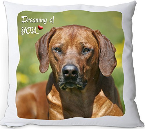 +++ RHODESIAN RIDGEBACK - Kuschelkissen/KISSEN | PILLOW/Kussen - RRB 05