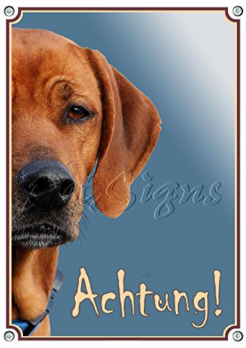 Petsigns Hundeschild Rhodesian Ridgeback - Achtung! Warnschild - Metallschild in Fotoqualität, 2. DIN A4