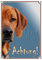 Petsigns Hundeschild Rhodesian Ridgeback - Achtung! Warnschild - Metallschild in Fotoqualität, 2. DIN A4