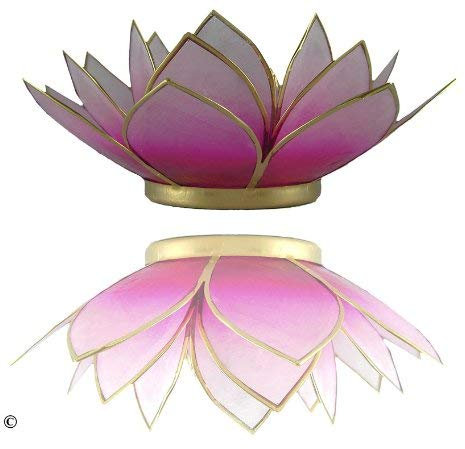 TRIMONTIUM Teelichthalter Pinkschimmer in Form Einer dreiblättrigen Lotusblüte, Capiz-Muschel, weiß/pink, 14 x 14 x 8 cm