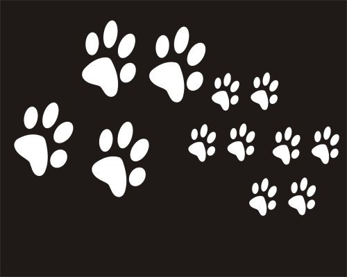 I'm Only Saying 12 Aufkleber Pfoten-Design Katze Hund für Auto, Fenster, Spiegel