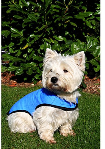 Prestige Cool Coat for Dogs, S, Blue