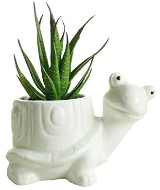 Somarke maceta decorativa, de cerámica de porcelana blanca, diseño de animal, Turtle