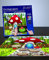 The Irish Fairy Door Company The Irish Fairy Door 'Magical' Jigsaw Puzzle Unlock a World of Imagination.