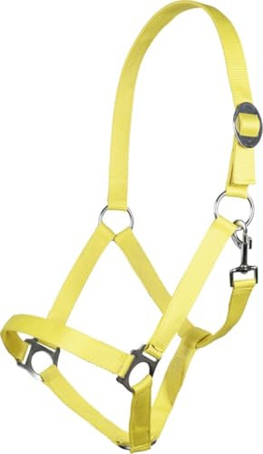 HKM Stars Economy Softice Halfter Neon gelb Pony