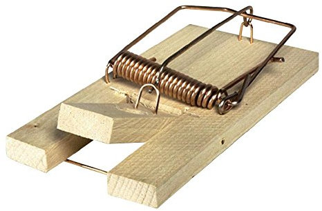 Swissinno Solution Classic Rattenfalle Classic aus Holz, Beige, 8 x 21 x 3 cm