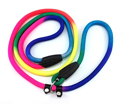 Yueton arc-en-ciel pour animal domestique Chien en nylon Laisse réglable Boucle Laisse lasso Corde