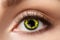 Eyecatcher 84065141-714 - Farbige Kontaktlinsen, 1 Paar, für 12 Monate, Gelb, Halloween, Karneval, Fasching