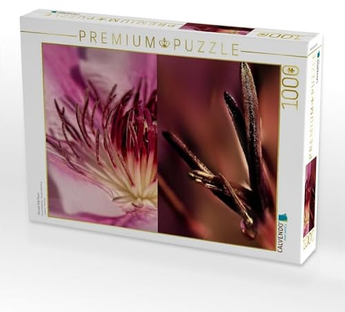 CALVENDO Puzzle Clematis Nelly Moser | 1000 Teile Lege-Größe 64 x 48 cm Foto-Puzzle für glückliche Stunden