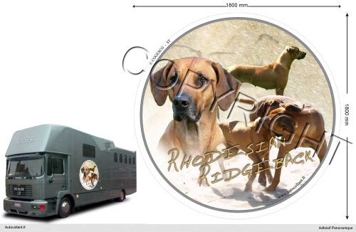 Circular Aufkleber Hund 180 Cm Rhodesian Ridgeback