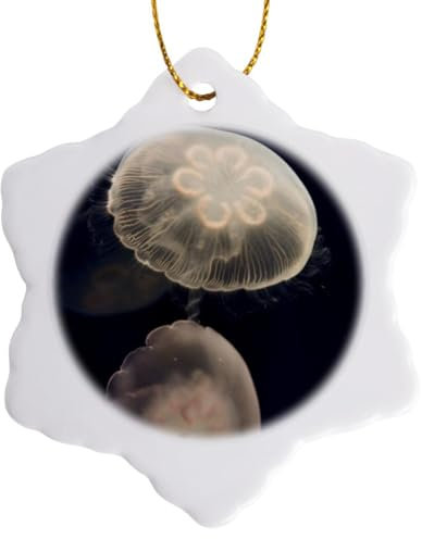 3dRose Moon Jelly Fish, Monterey Bay Aquarium, California-Us05 Jgs0131-Jim Goldstein Schneeflocken-Ornament, Porzellan, weiß