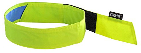 Ergodyne Chill Its 6705CT Cooling Bandana, Lined with Evaporative PVA Material for Fast Cooling Relief, Quick and Secure Fit