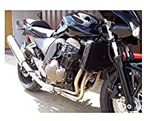 Slider radiateur Z750 03-06 RG Racing