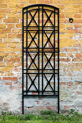 KUHEIGA Steckzaun H: 180cm B: 60cm aus Metall Schwarz Rankhilfe Rankgitter