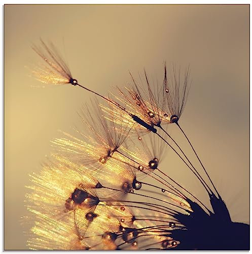 ARTland Wanddeko Glasbilder Wandbild Glas Bild einteilig 50 x 50 cm Quadratisch Innere Ruhe Wellness Pflanzen Blumen Pusteblume Regen Tau Tropfen Sonnenaufgang S8XF