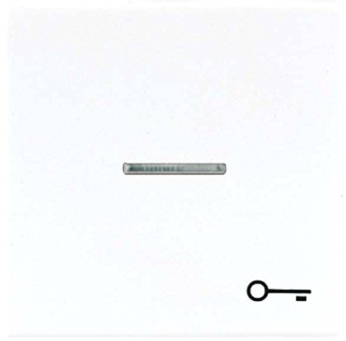 Jung LS990KO5TWW Wippe mit Symbol Tür KO