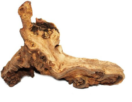 Exotenherz - Mopanie-Wurzel Gr. S 12-18 cm