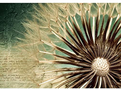 Runa Art Fototapeten 396 x 280 cm Blumen Pusteblume - Vlies Wanddekoration Wohnzimmer Schlafzimmer - Deutsche Manufaktur - Grün 9023012a