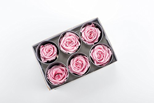 SCATOLA DA 6 ROSE STABILIZZATE GRANDI - diametro 5 cm - COLOR ROSA PASTELLO