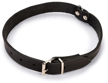 Karlie Halsband Rondo, genietet L: 62 cm B: 25 mm schwarz