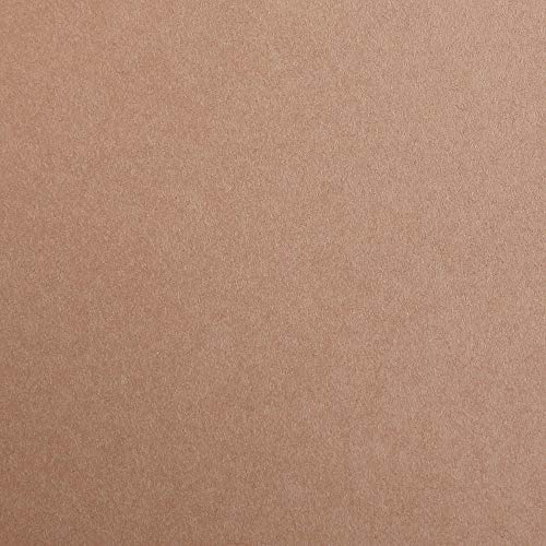 Clairefontaine - Ref 48074C - Maya Coloured Smooth Drawing Paper (Pack of 25 Sheets) - 270gsm Paper - A3 (42 x 29.7cm) - Light Brown Colour - Deep Dyed, Acid Free, pH Neutral