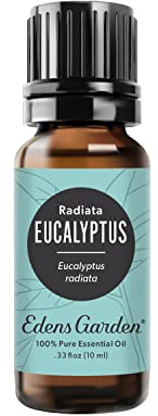 Edens Garden Eucalyptus- Radiata Essential Oil- 100% Pure Premium Grade, Undiluted, Natural, Therapeutic, Aromatherapy, The Best for Diffuser, Laundry, Hair, Humidifiers 10 ml (.33 fl oz)