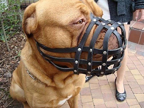 L&J Pets Uk Leichter Maulkorb aus Leder für Dogue de Bordeaux und Bullmastiff und andere (Schwarz, DB3)