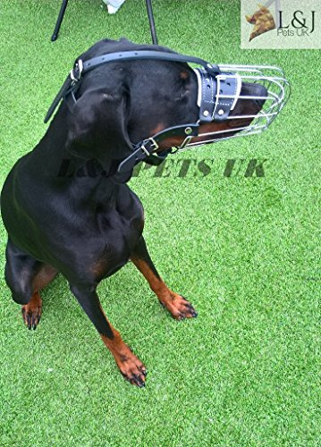 Champion Maulkorb aus Metall, für Dobermann