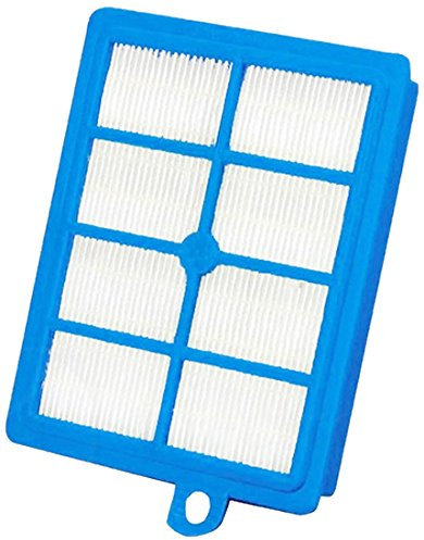 Electrolux Washable H12 Hepa Filter