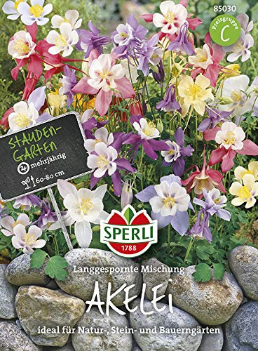 Akelei Langgespornte Mischung von Sperli-Samen