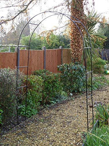 Apollo Standard Garden Arch