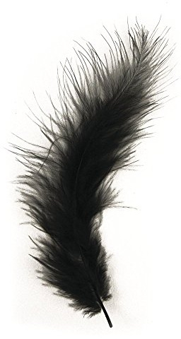 Rayher Hobby 8516801 Flauschfeder, 10-15 cm, SB-Beutel 15 Stück, schwarz