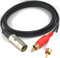 5 Pin DIN to 2 x RCA Phono Plugs Gold 3 Metre Interconnect Cable for Naim/B&O by CoolNovelties