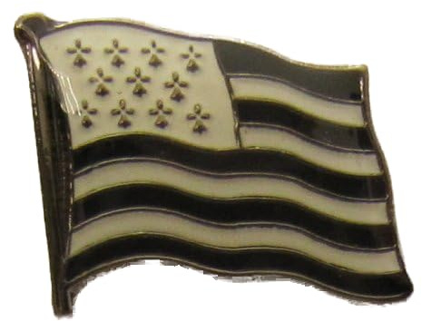 Pin Anstecker Flagge Fahne Bretagne Frankreich Flaggenpin Badge Button Flaggen Clip Anstecknadel