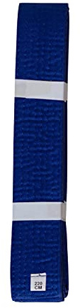 lisaro Premium Budogürtel, Kampfsportgürtel,Kampfsportgürtel für Karate Judo Taekwondo Ju-Jutsu BJJ | Gr. 160-320 cm | 4 cm breit