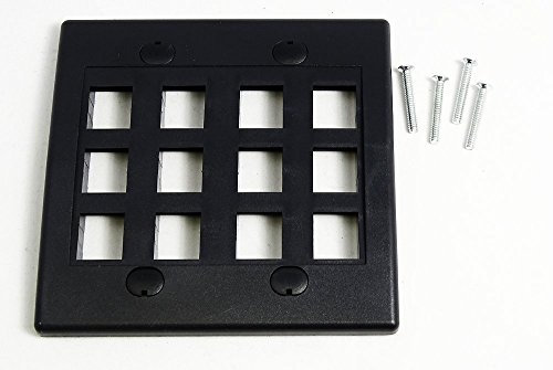 RiteAV – Keystone placa de pared doble banda 12-port (1 pieza ()