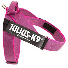 Julius-K9, Color & Gray, Beltgeschirr