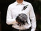 IFFO 8 Zoll benutzerdefinierte Brautstrauß, Gothic Stil schwarze Feder Brosche Blumenstrauß, schwarz und weiß Hochzeit Bouquet Juwel