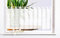 Gardinenbox Scheibengardine Uni Voile, 50x160, Weiß, 61070