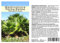 Seedeo® Washingtonia - Fächerpalme (Washingtonia robusta) 12 Samen