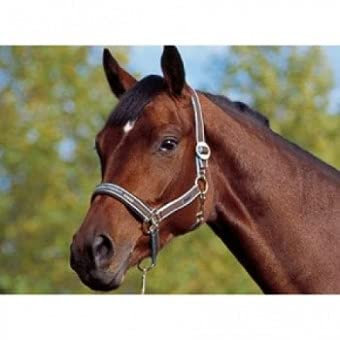 Eskadron Halfter Classic Sports Schiebeschnalle Cognac, Pony 2, Größe:Pony 2