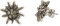 Alpenflüstern Trachten-Ohrstecker Strass-Edelweiß mini - Damen-Trachtenschmuck, Trachten-Ohrringe antik-silber-farben mit Strass-Steinen (klar-kristall) DOR033
