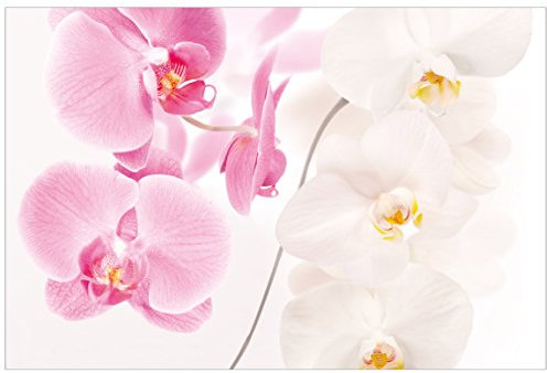 Orchideenbild Fensterfolie Sichtschutz Bild Delicate Orchids Blumen 21x31cm