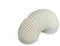 White Knight Dryer Vent Hose 4 inches Diametre x 8 Feet