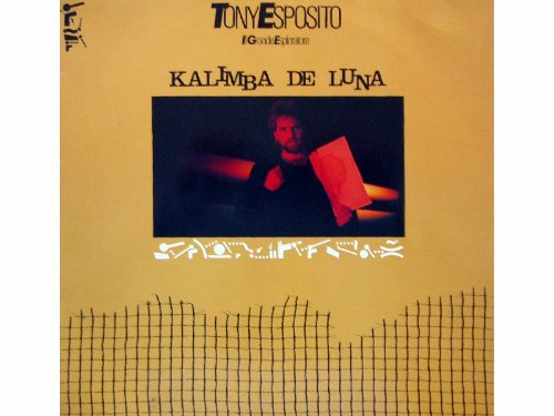 Il grande esploratore (1984)