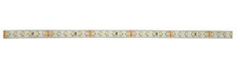 Lyyt | Professional 24V high Output LED Tape | Warm White | 5M Reel